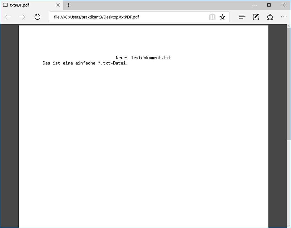 PDF-File